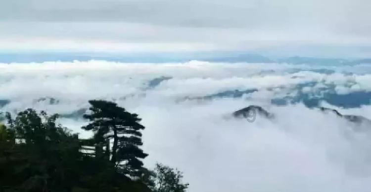 双点医院