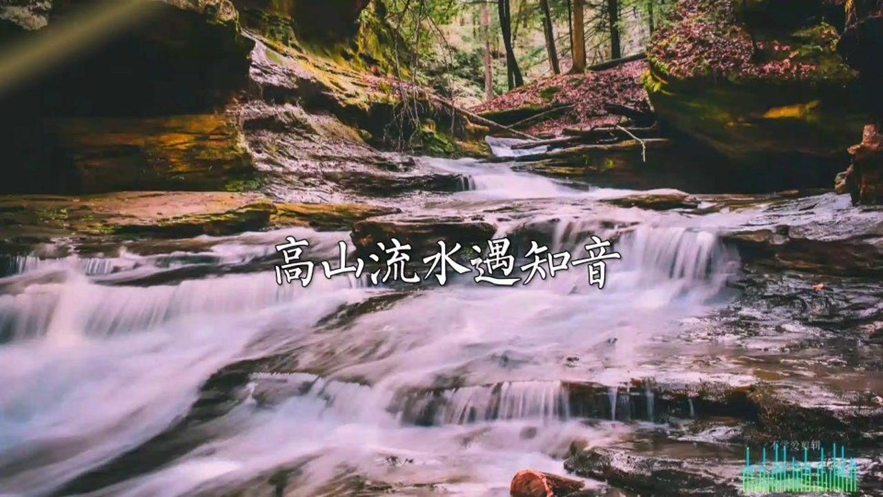 妈妈不让我出去玩我就给她养的猫吸了氯气，请问我过分吗？