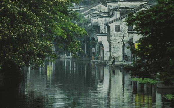 逗小猴开心系列179